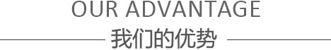 我们的优势